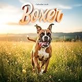 Boxer Dogs 2026 Calendar: Energetic Pets and Loyal Companions