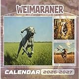 Weimaraner Calendar 2026-2027: 18 Months of The Animal from Sep 2026 to Dec 20257,Square 8.5 x 8.5 Inches Gift For Organizing & Planning