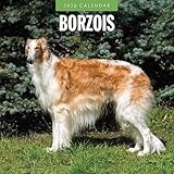 Borzois 2026 Square Wall Calendar