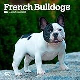 French Bulldog calendar thumbnail