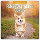 Pembroke Welsh Corgi calendar thumbnail