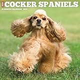 Cocker Spaniels 2026 Wall Calendar