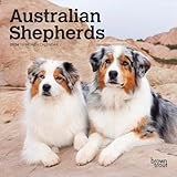 Australian Shepherd Dog calendar thumbnail