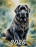 2026: Large Monthly Calendar Planner – Watercolor Newfoundland Dog