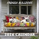 French Bulldogs Calendar 2026: Compact charm and playful personalities featured all year