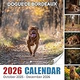 Dogue De Bordeaux Calendar 2026: Powerful presence and gentle hearts featured through the year | Kalender Calendario Calendrier