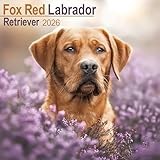 Labrador Retriever calendar thumbnail