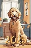 Planner 2024, 2025, 2026 Goldendoodle: 378-page Calendar for every day of the year, including every hour with extra montly and yearly page with dog Goldendoodle