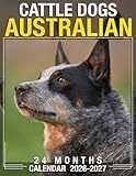 Australian Cattle Dogs Calendar 2026 - 2027: Start Each Month Right With Monthly Planner Jan 2026 To Dec 2027 Scenic Photos Us Holidays Perfect Gift