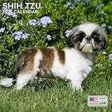 2026 Shih Tzu Calendar - Dog Breed Wall Calendar - 12 x 24 Open - Thick No-Bleed Paper - 14 Month Planner Calendar Organizing & Planning