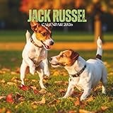 Jack Russell Calendar 2026: Tenacious Terrier Portraits • U.S. Dates Pre-listed • Glossy Cover | 8.5 × 8.5 in