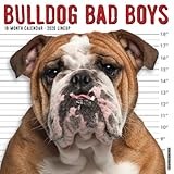 Bulldog Bad Boys 2026 Wall Calendar