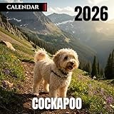 Cockapoo 2026 Calendar (Spanish Edition)