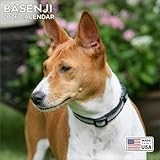 2026 Basenji Calendar - Dog Breed Wall Calendar - 12 x 24 Open - Thick No-Bleed Paper - 14 Month Planner Calendar Organizing & Planning