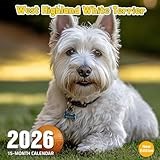 West Highland White Terrier 2026 Calendar: Bright and spunky little white terriers