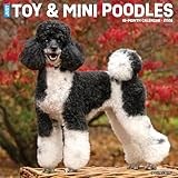 Poodle Miniature calendar thumbnail