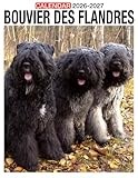Bouvier Des Flandres calendar thumbnail