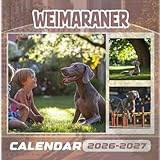 Weimaraner Calendar 2026-2027: 18 Months of The Animal from Sep 2026 to Dec 20257,Square 8.5 x 8.5 Inches Gift For Organizing & Planning