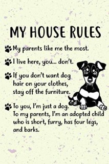 Oisin Miniature Pinschers, Miniature Pinscher Breeder in ...