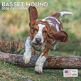 2026 Basset Hound Calendar - Dog Breed Wall Calendar - 12 x 24 Open - Thick No-Bleed Paper - 14 Month Planner Calendar Organizing & Planning