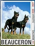 Beauceron Calendar 2026 - 2027: Organize With Ease Using Monthly Planner Jan 2026 To Dec 2027 Scenic Views Us Holidays Perfect For Giving