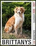 Brittanys Calendar 2026 - 2027: Plan Your Year With Monthly Planner Jan 2026 To Dec 2027 Beautiful Photography Us Holidays Perfect For Gifting