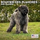 2026 Bouvier des Flandres Calendar - Dog Breed Calendar - 12 x 24 Open - Thick No-Bleed Paper - 14 Month Planner Calendar Organizing & Planning