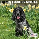 2026 English Cocker Spaniel Calendar - Dog Breed Wall Calendar - 12 x 24 Open - Thick No-Bleed Paper - 14 Month Planner Calendar Organizing & Planning