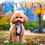 Poodle Toy calendar thumbnail