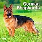 German Shepherds | 2026 7 x 14 Inch (Hanging) Monthly Mini Wall Calendar | BrownTrout | Animals Dog Breeds