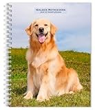 Golden Retriever calendar thumbnail