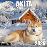 Akita Calendar 2026: Majestic Akita Dogs in Various Natural Settings