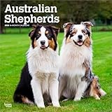 Australian Shepherd Dog calendar thumbnail