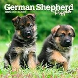 German Shepherd Puppies | 2026 7 x 14 Inch (Hanging) Monthly Mini Wall Calendar | BrownTrout | Animals Dog Breeds Puppy