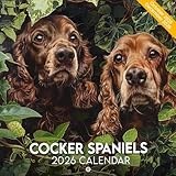 Cocker Spaniels Calendar 2026: Floppy Ears and Loyal Hearts in Every Monthly Moment
