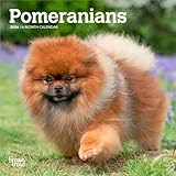 Pomeranian calendar thumbnail