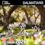 Dalmatians Calendar 2026: Bold patterns and lively steps captured month by month