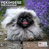 2026 Pekingese Calendar - Dog Breed Wall Calendar - 12 x 24 Open - Thick No-Bleed Paper - 14 Month Planner Calendar Organizing & Planning