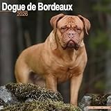 Dogue De Bordeaux calendar thumbnail