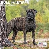 2026 Bull Mastiff Calendar - Dog Breed Calendar - 12 x 24 Open - Thick No-Bleed Paper - 14 Month Planner Calendar Organizing & Planning