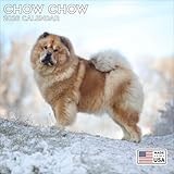 Chow Chow calendar thumbnail