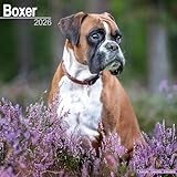 Boxer calendar thumbnail