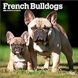 French Bulldog calendar thumbnail