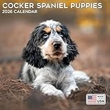 2026 Cocker Spaniel Puppies Calendar - Dog Breed Wall Calendar - 12 x 24 Open - Thick No-Bleed Paper - 14 Month Planner Calendar Organizing & Planning