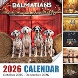 Dalmatians Calendar 2026: Bold patterns and lively steps captured month by month