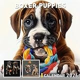 Boxer Puppies Calendar 2026: Bouncy Bundles of Joy with Expressive Faces