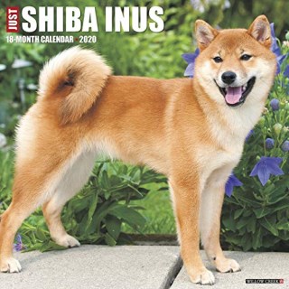 2020 Shiba Inu Calendars