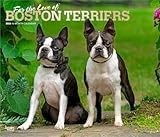 For the Love of Boston Terriers | 2026 14 x 24 Inch (Hanging) Monthly Deluxe Wall Calendar | Foil Stamped Cover | Plastic-Free | BrownTrout | Animal Dog Breeds