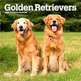 Golden Retrievers | 2026 7 x 14 Inch (Hanging) Monthly Mini Wall Calendar | BrownTrout | Animals Dog Breeds Retriever