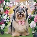 Havanese Dog Calendar 2026: 12 months of Havanese Dog: from January to December 2026 | The ideal gift for both planning, organization and dogs